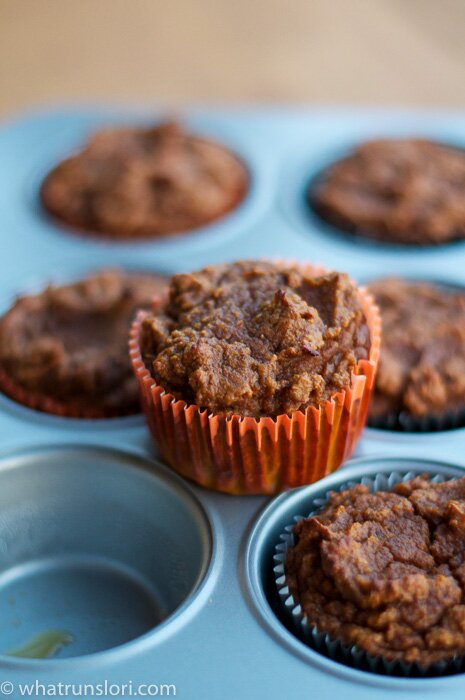 Pumpkin Gingerbread Paleo Muffins -whatrunslori.com